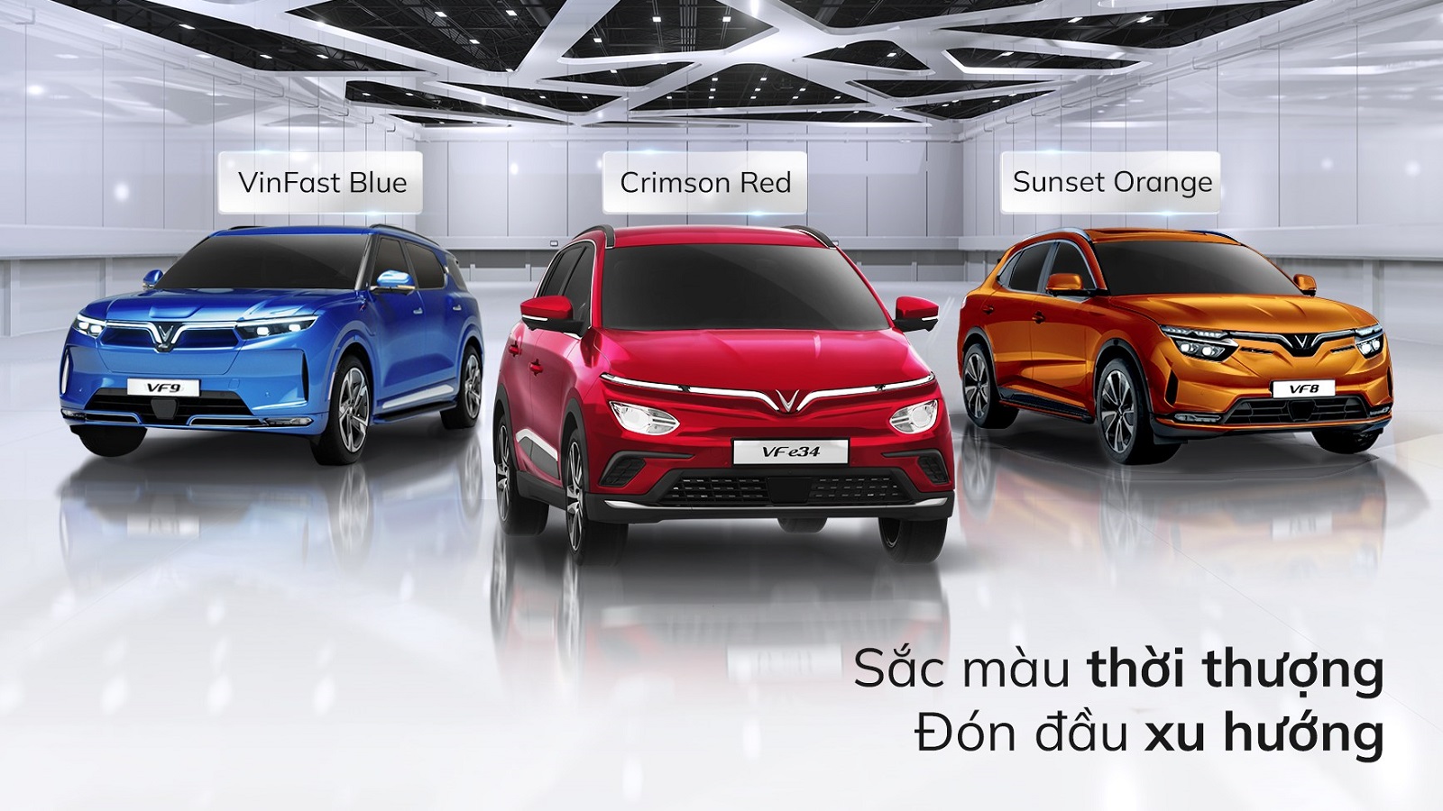 tuổi hợi hợp xe màu gì
